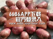 产品展示标题5