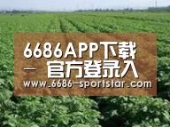 种植基地五(图1)