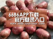 产品展示标题5(图1)